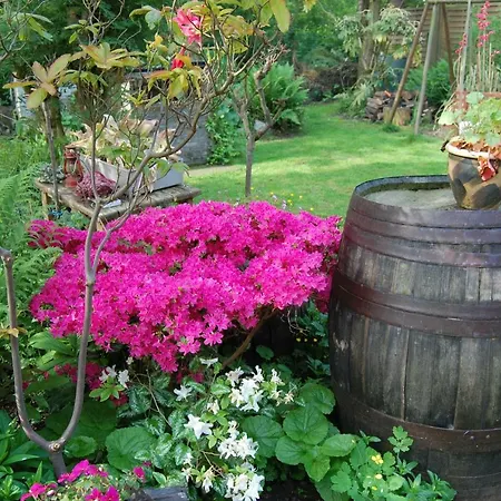 莫米住宿加早餐旅馆 根特