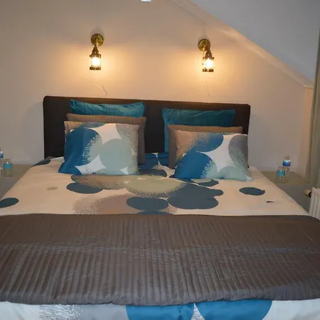 莫米住宿加早餐旅馆 4* 根特